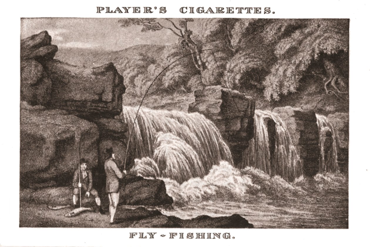 Fly-Fishing by Unbekannt