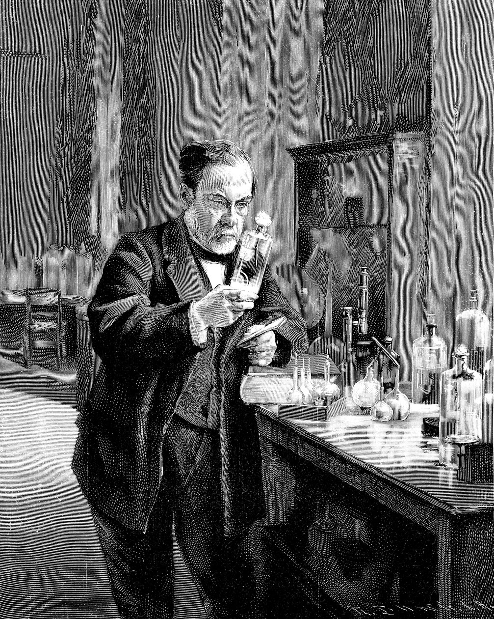 French chemist and microbiologist Louis Pasteur 1822-1895 by Unbekannt