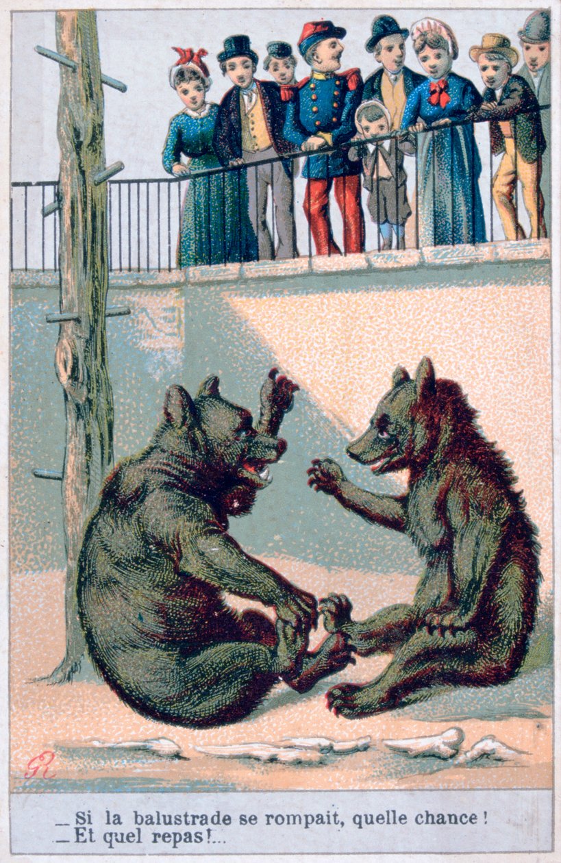 French Zoological Postcard by Unbekannt