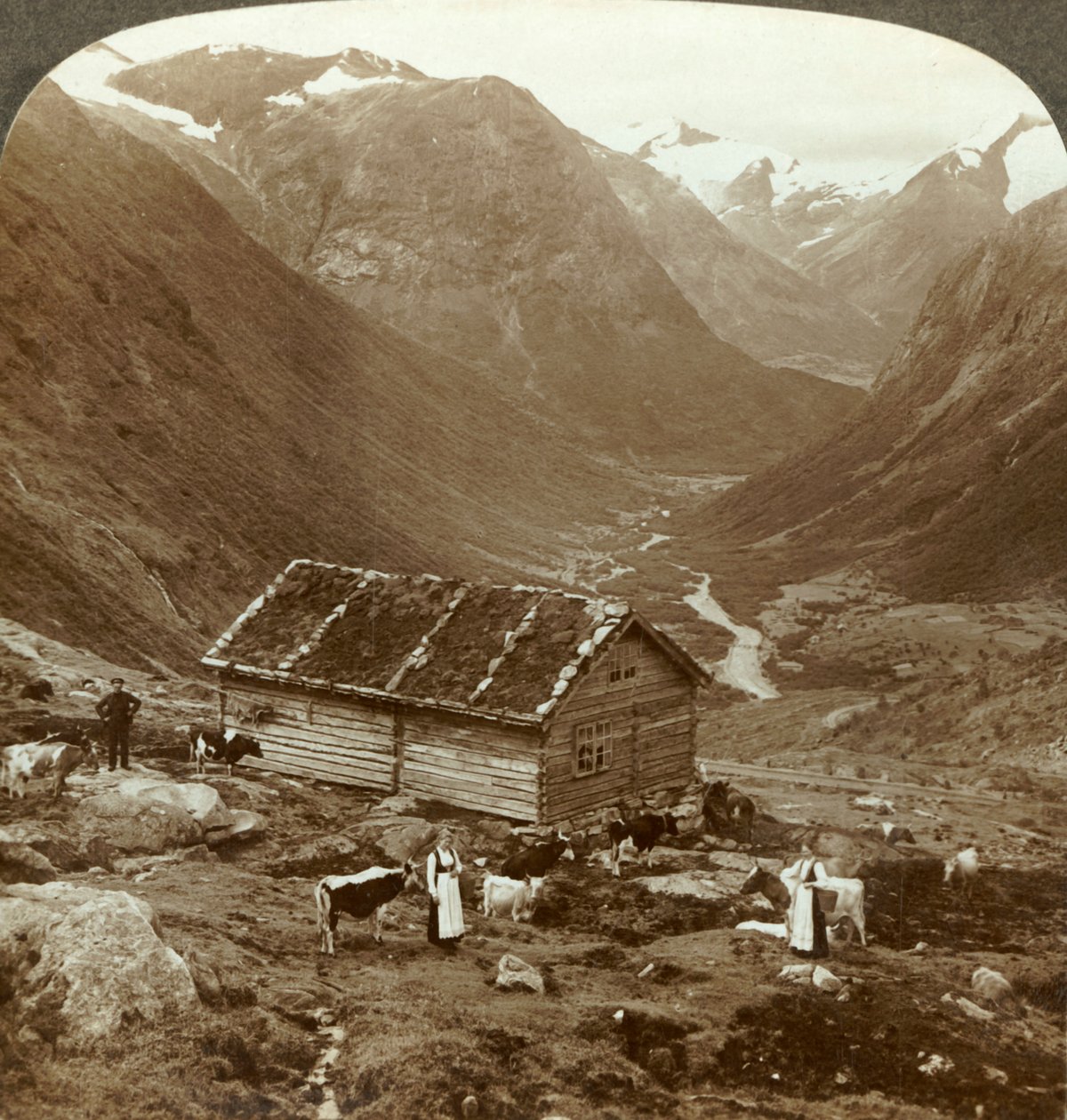From the Mountain Inn at Vidde Saeter Down the Vidde Valley - Mt. Skaala in Right Distance, c1905 by Unbekannt