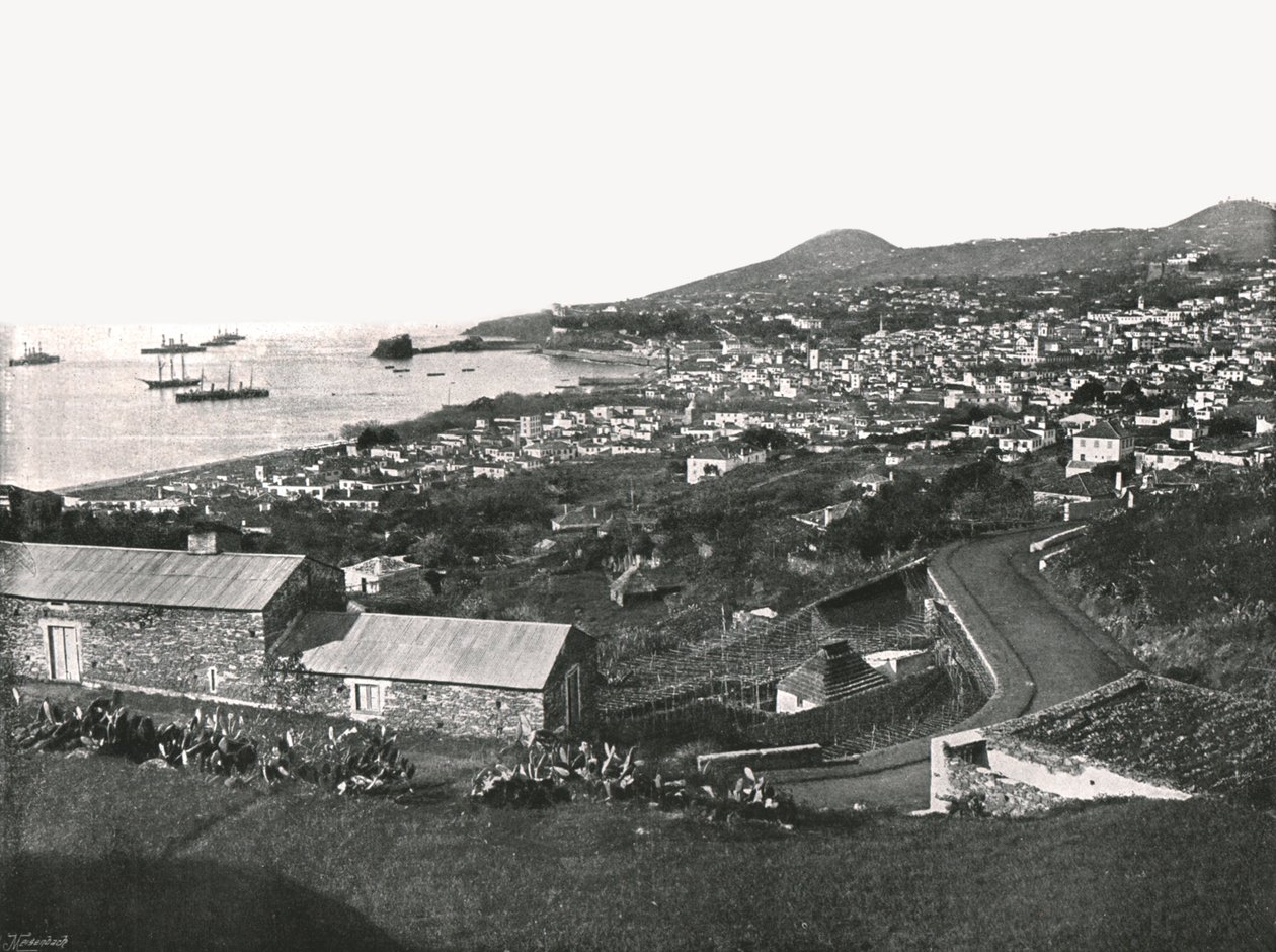 General View of Funchal, Madeira, Portugal by Unbekannt