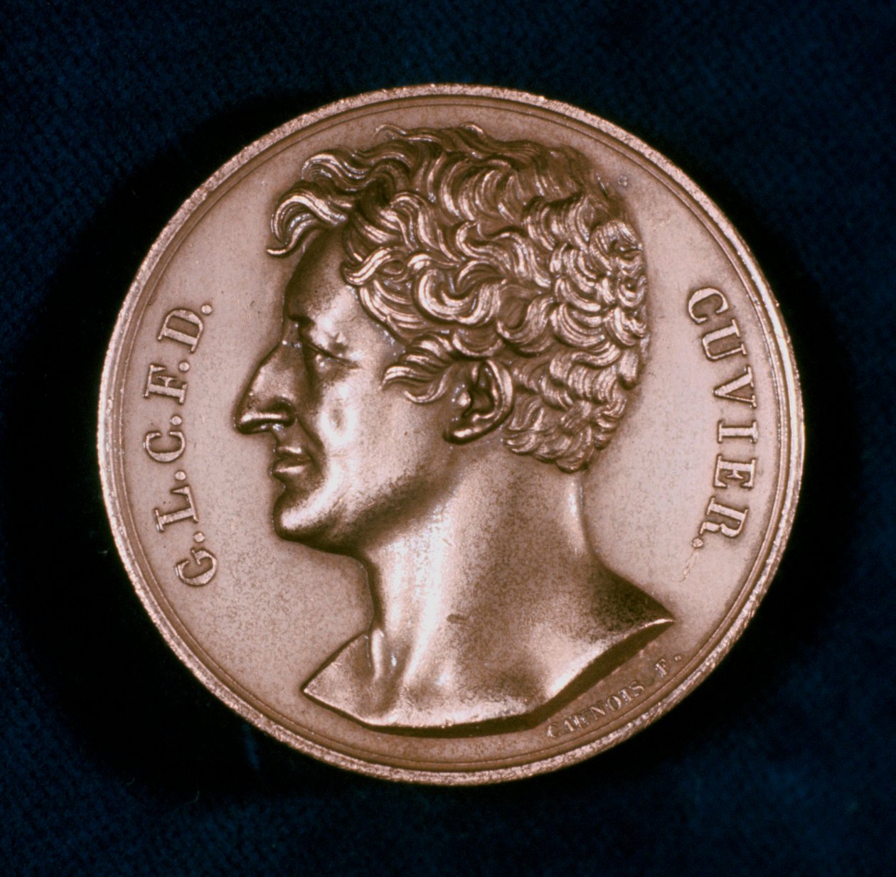 Georges Leopold Chretien Frederic Dagobert, Baron Cuvier, French Anatomist by Unbekannt