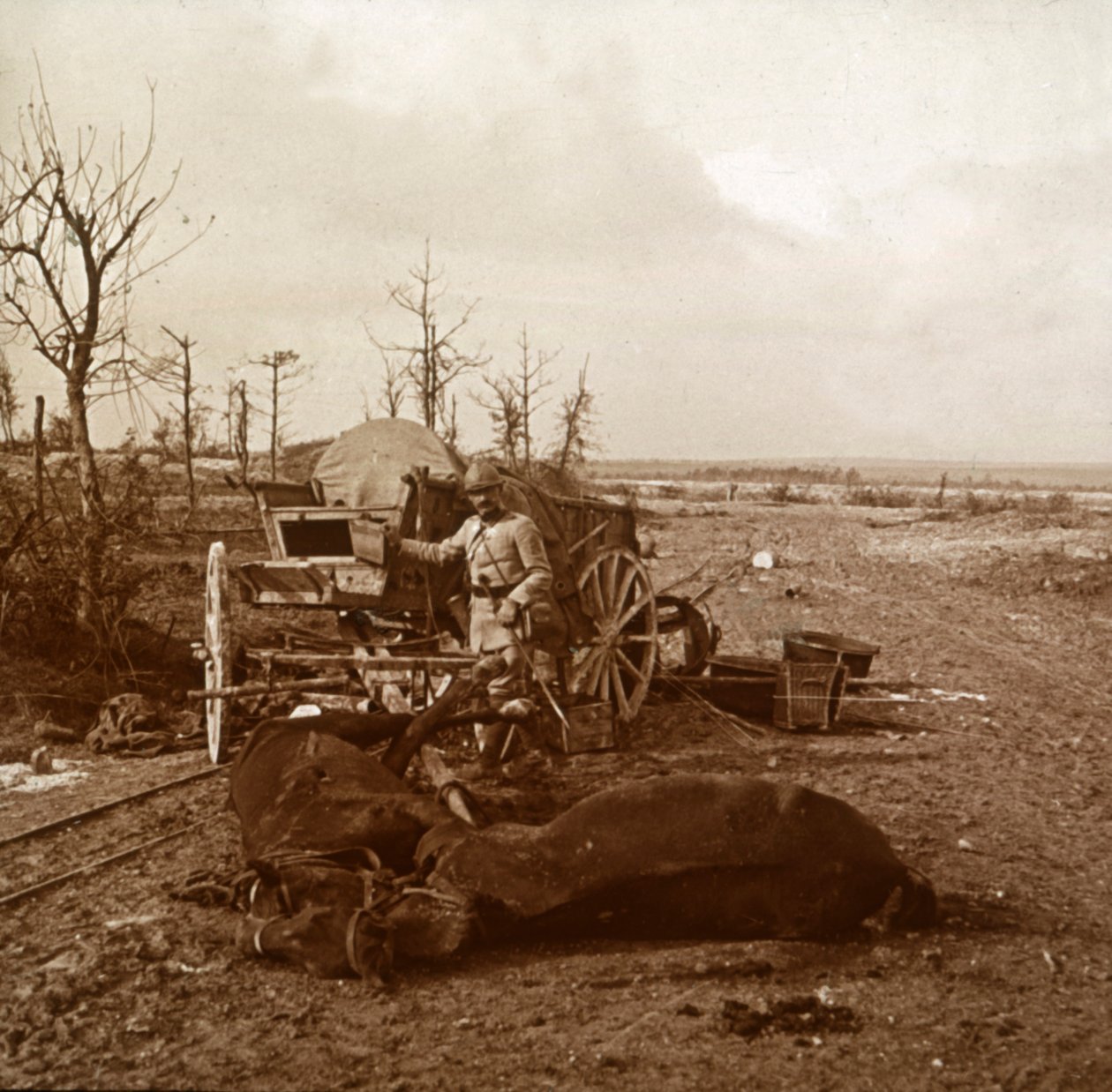 German Horse-Drawn Vehicle, Tahure, Northern France by Unbekannt