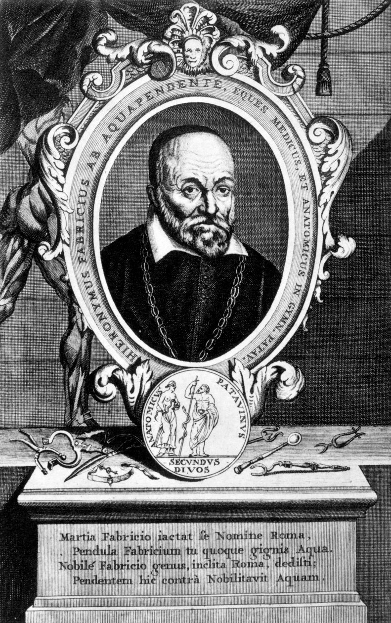 Girolamo Fabrici, Italian anatomist and surgeon, 17th century by Unbekannt