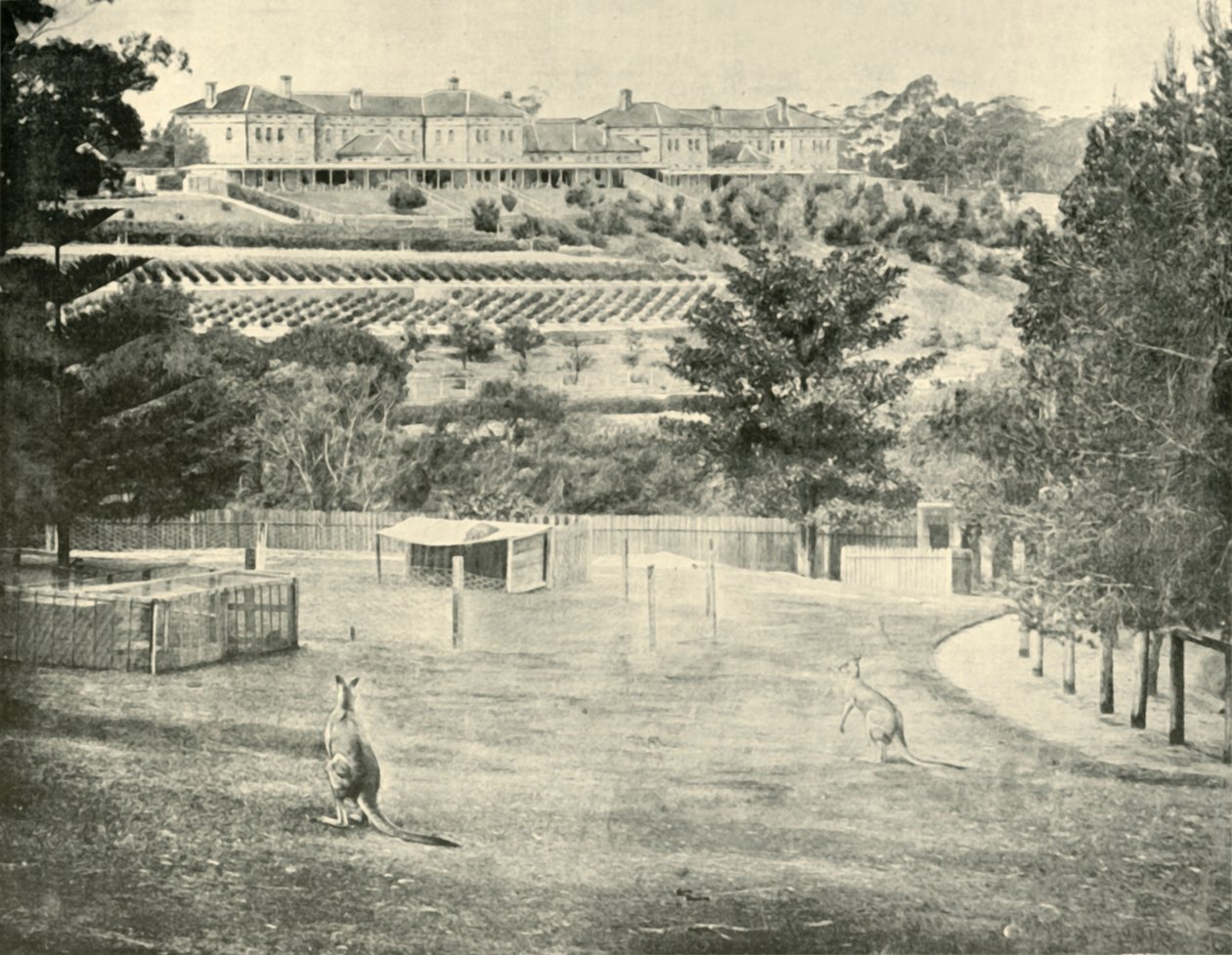 Gladesville Asylum for the Insane, New South Wales, 1901 by Unbekannt