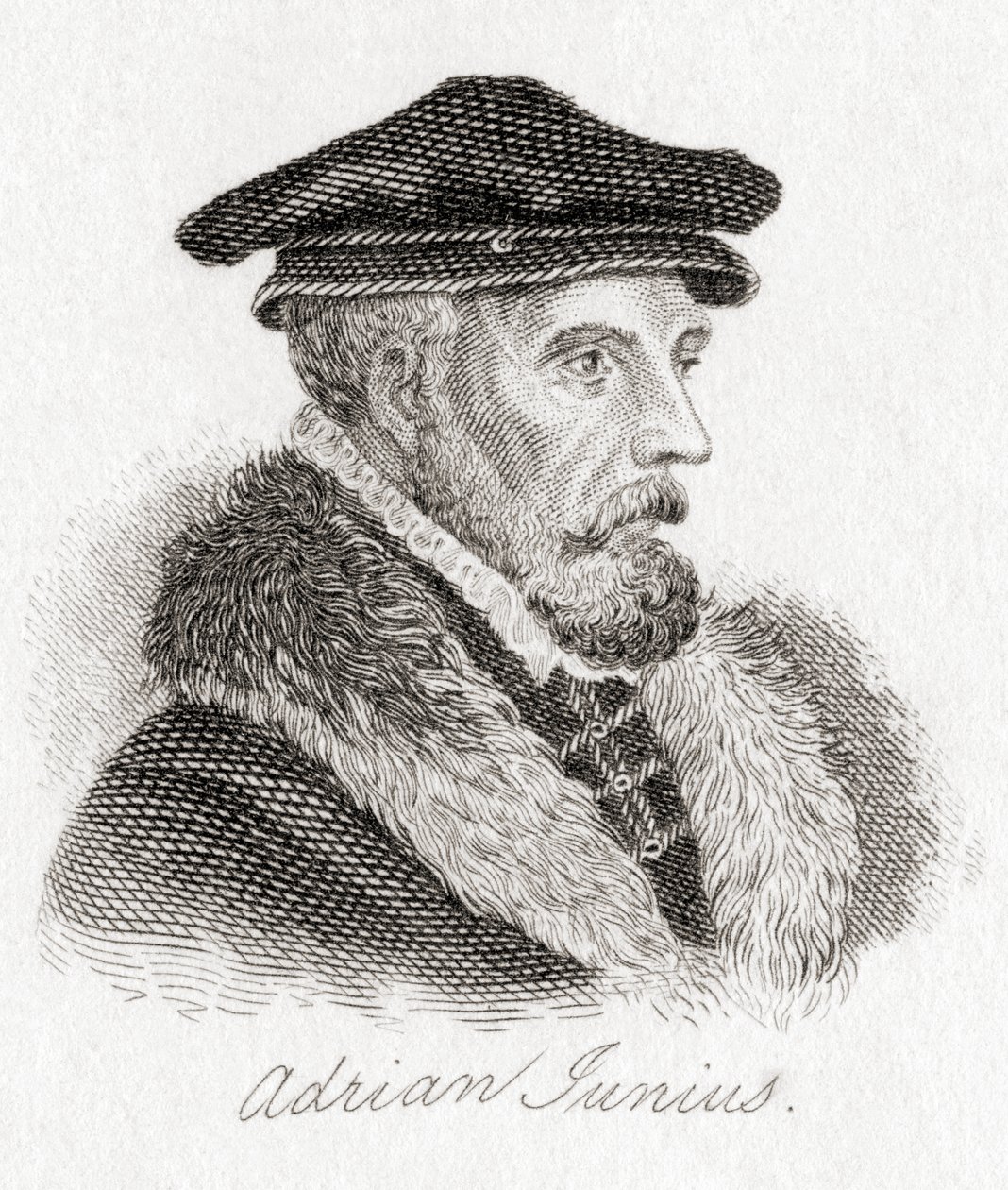 Hadrianus Junius, 1511-1575, aka Adriaen de Jonghe by Unbekannt