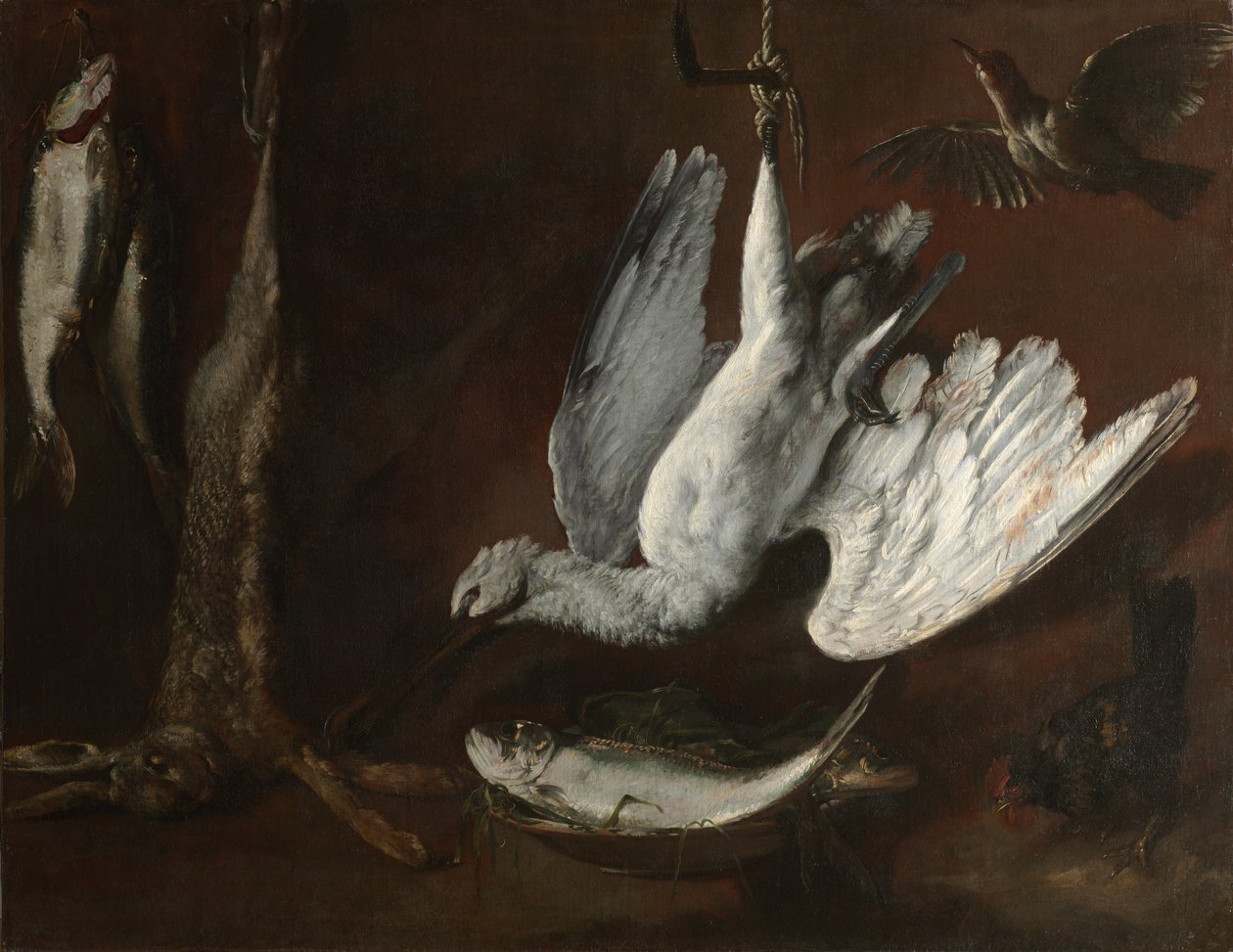Hare, Spoonbill, and Fish by Unbekannt