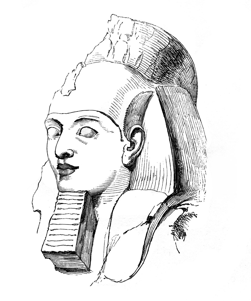 Head of Rameses, 1848 by Unbekannt