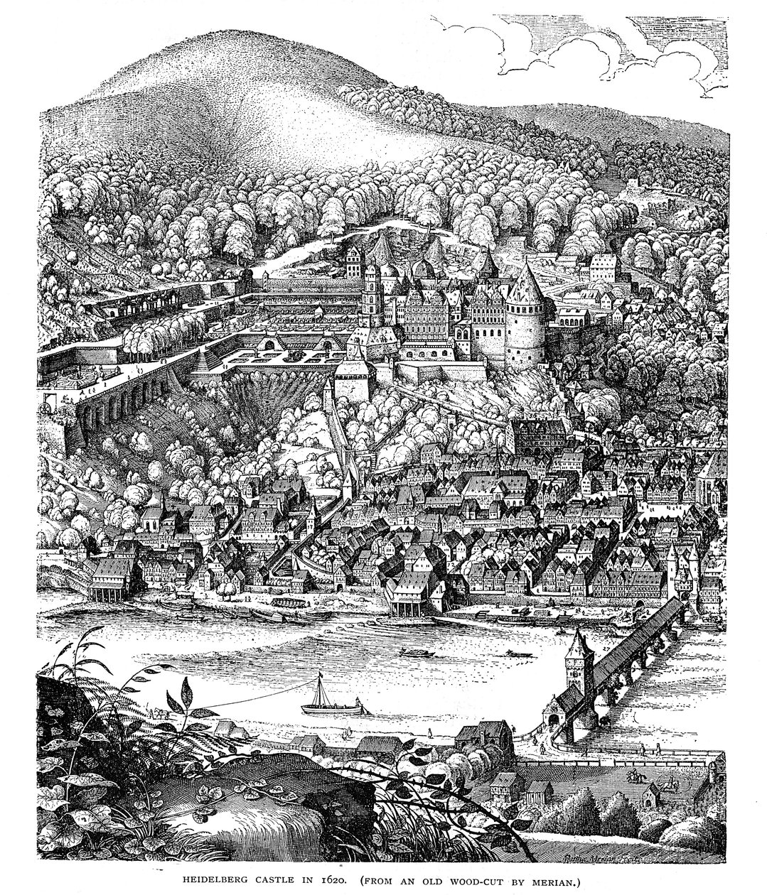 Heidelberg Castle and town viewed across the Neckar river, Germany by Unbekannt