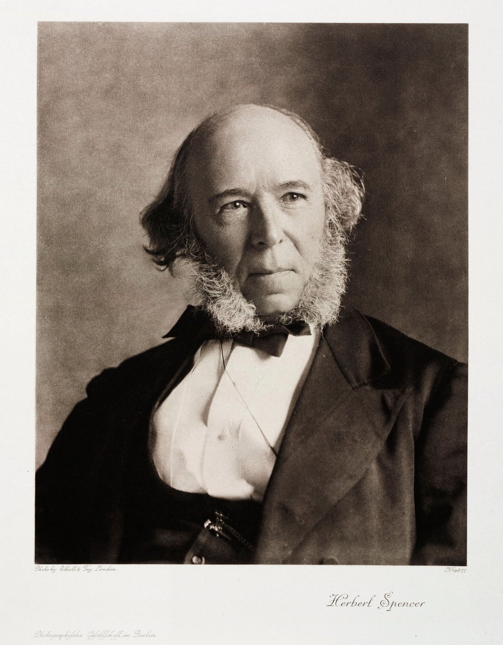 Herbert Spencer, English social philosopher by Unbekannt