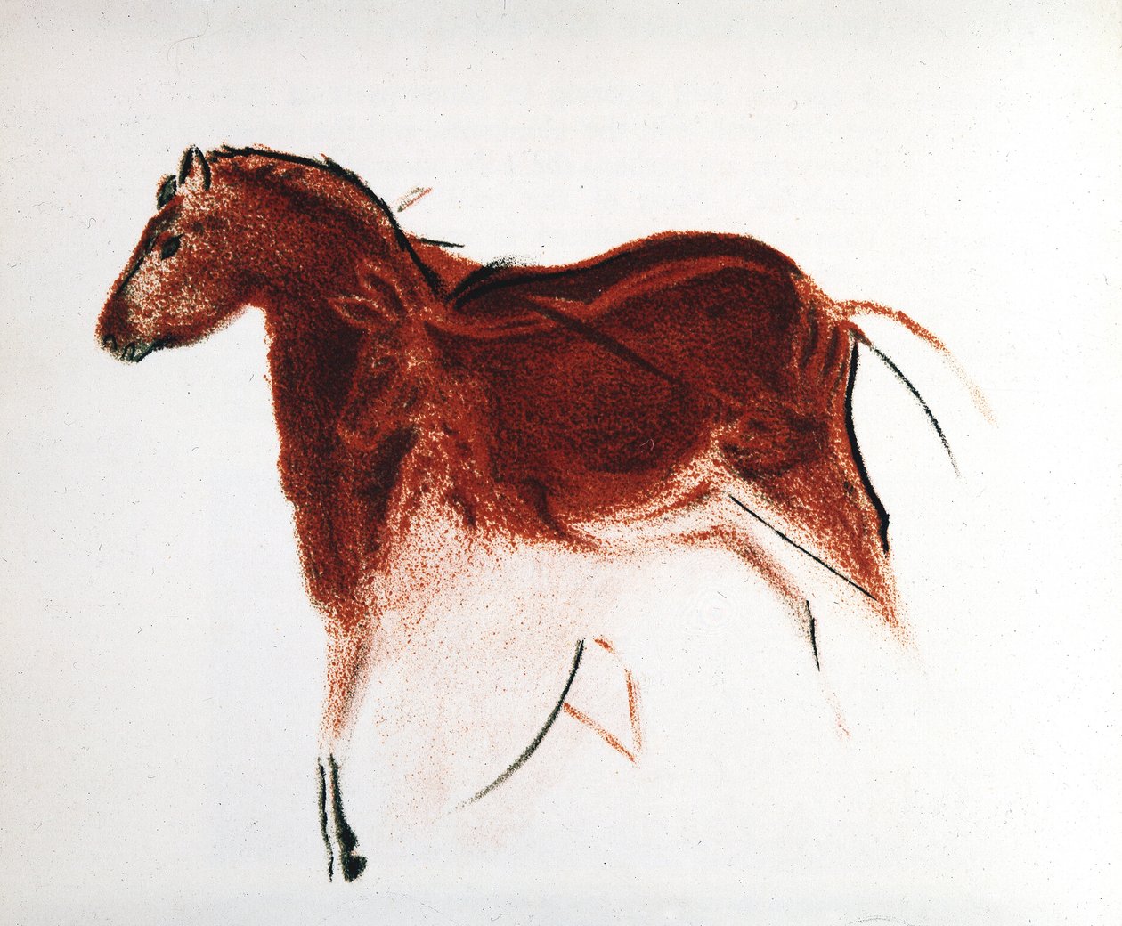 Horse and Hind, Palaeolithic cave painting from Altamira, southern Spain by Unbekannt