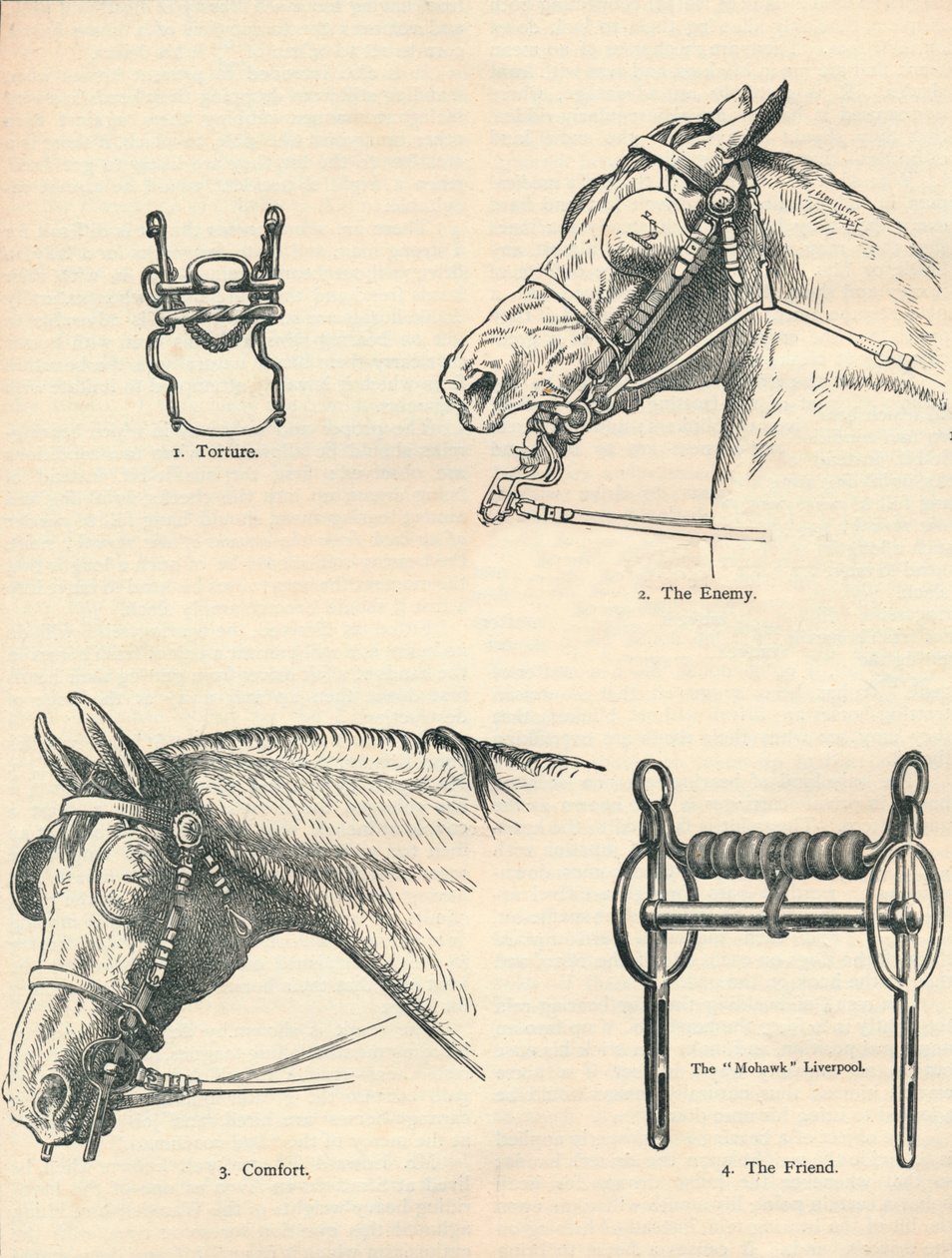 Horse bits, good and bad by Unbekannt