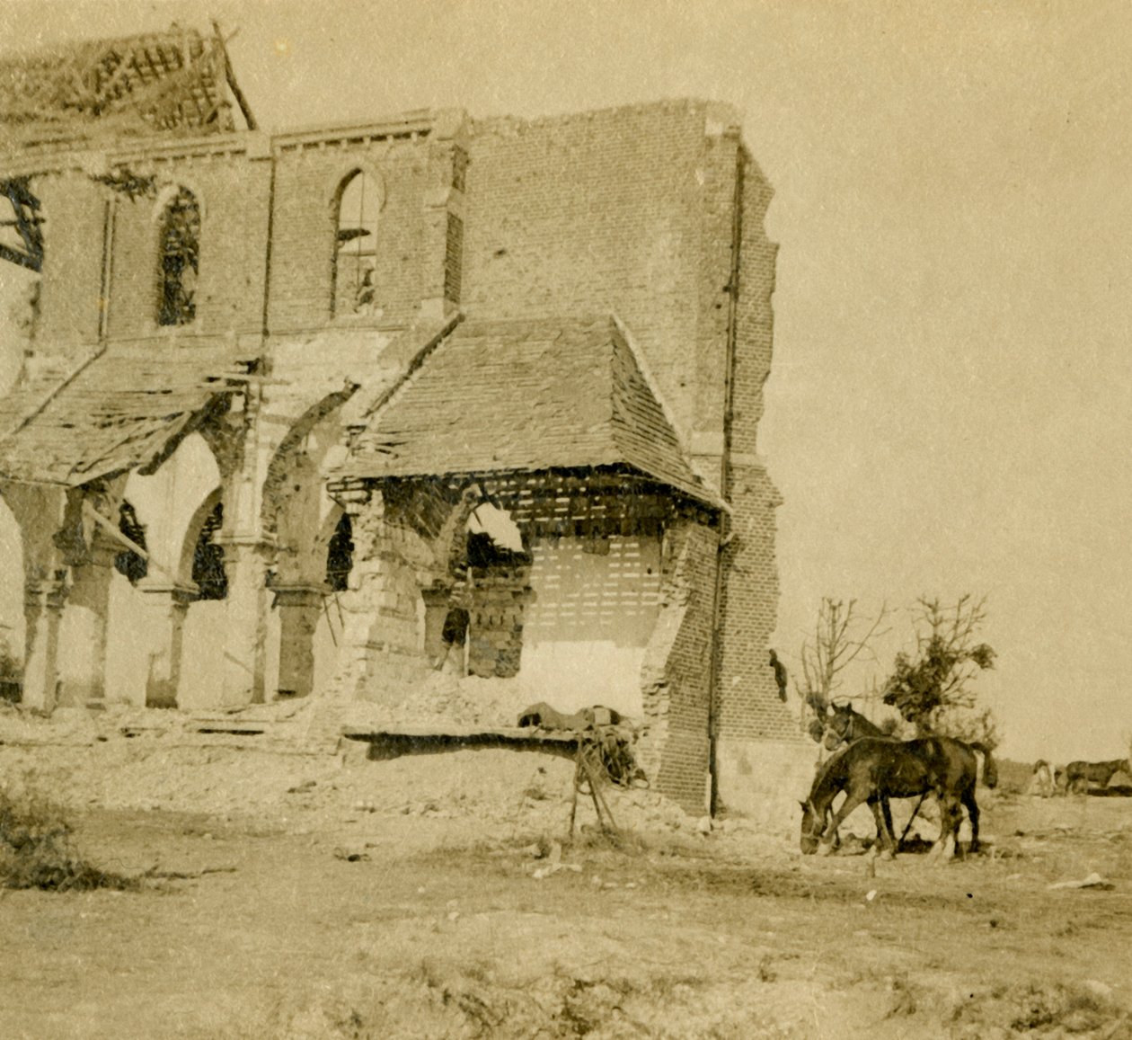 Horses grazing near ruined church, Frise, northern France by Unbekannt
