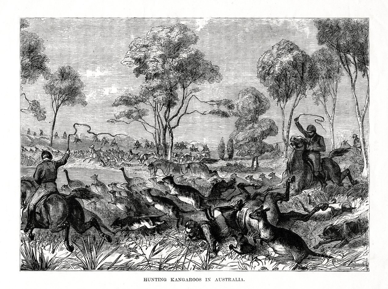Hunting Kangaroos, Australia, 1877 by Unbekannt