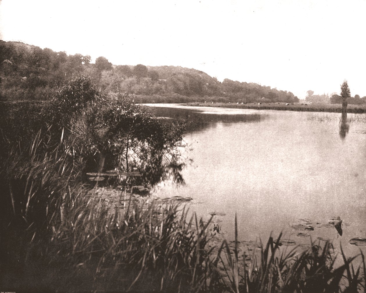 Hurley Reach, River Thames between Bisham and Medmenham, Buckinghamshire, 1894 by Unbekannt