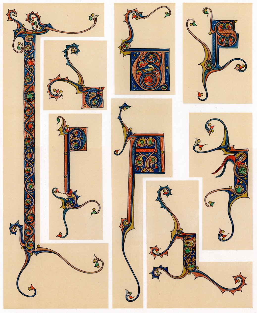 Illuminated initial letters, 13th century by Unbekannt