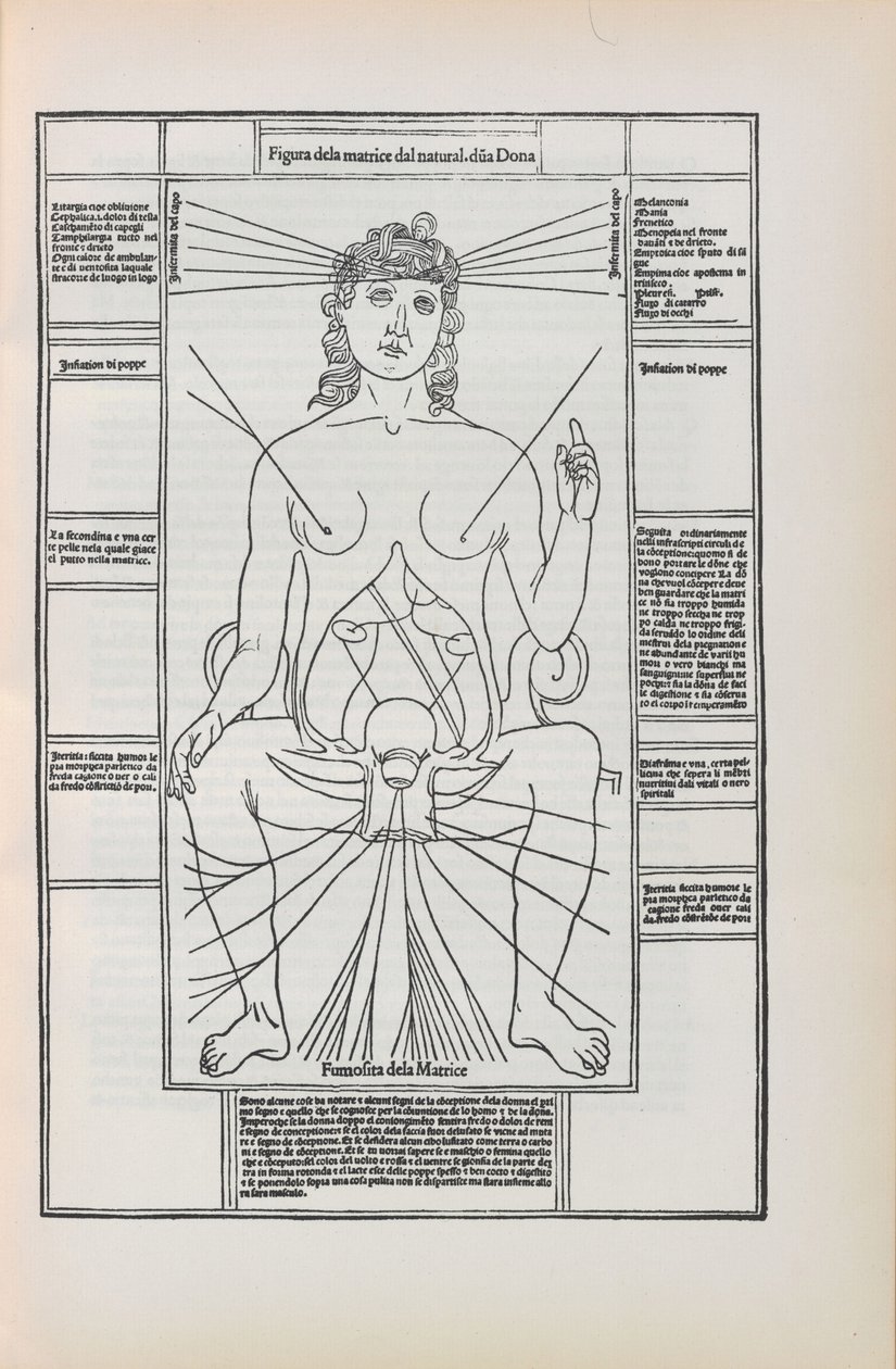 Illustration from Fasciculo di Medicina by Johannes de Ketham by Unbekannt