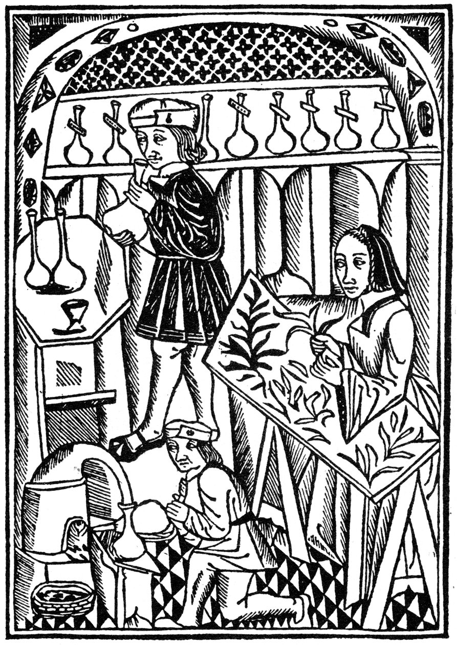 Illustration from Le Proprietaire des Choses, 1500 by Unbekannt