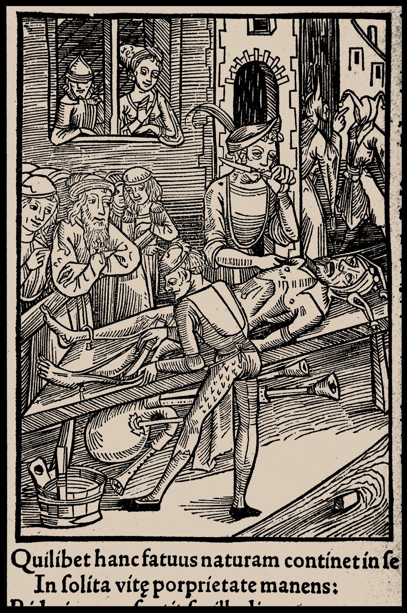 Illustration to the book Ship of Fools by Sebastian Brant, 1497 by Unbekannt