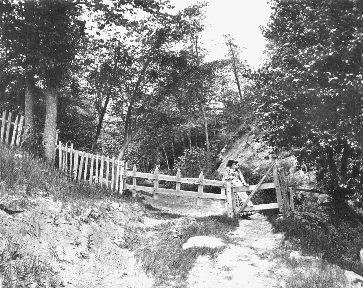 In the Berkshire Hills, Massachusetts, USA, c1900 by Unbekannt