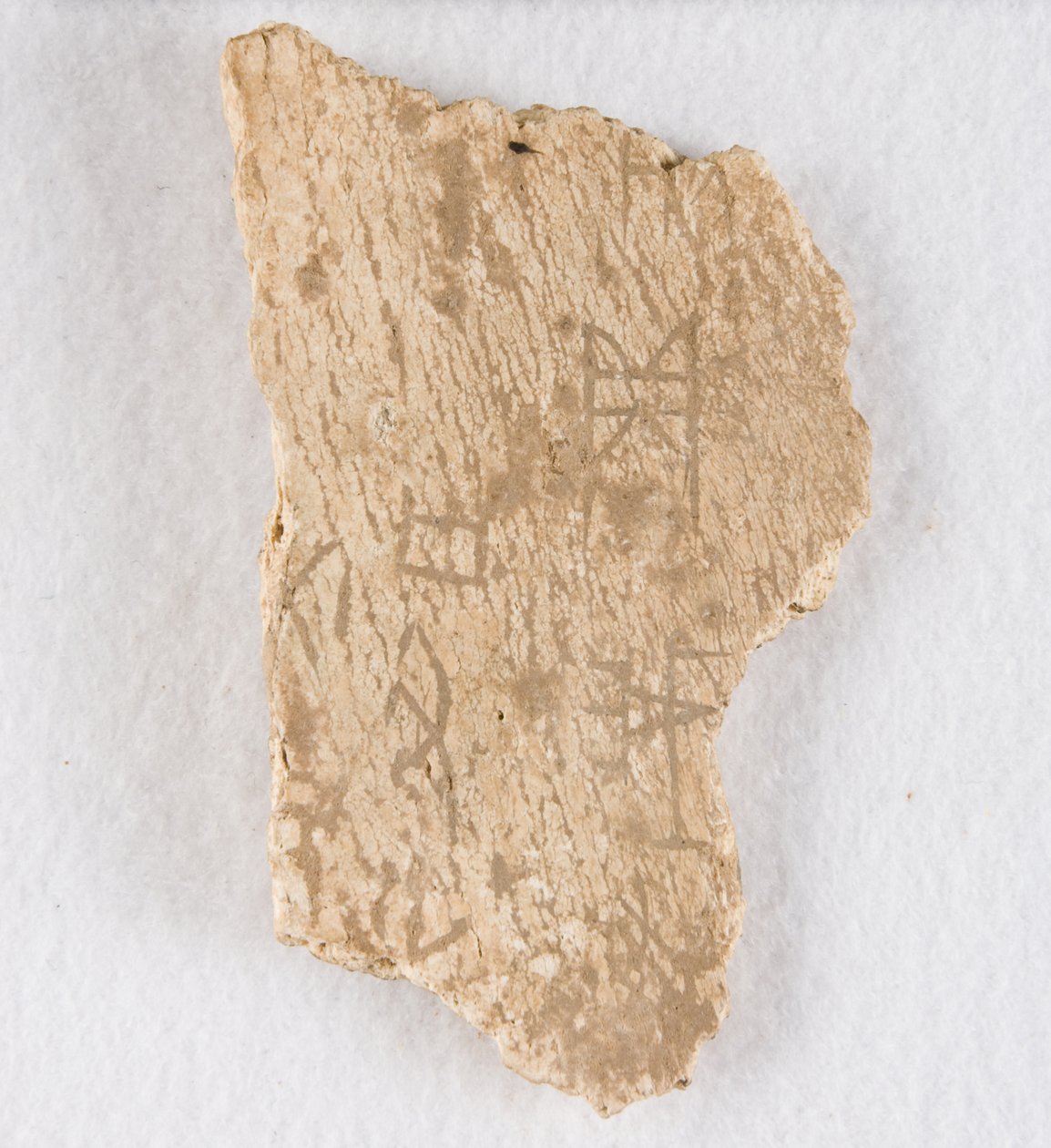 Inscribed Bone Fragment Oracle Bone by Unbekannt