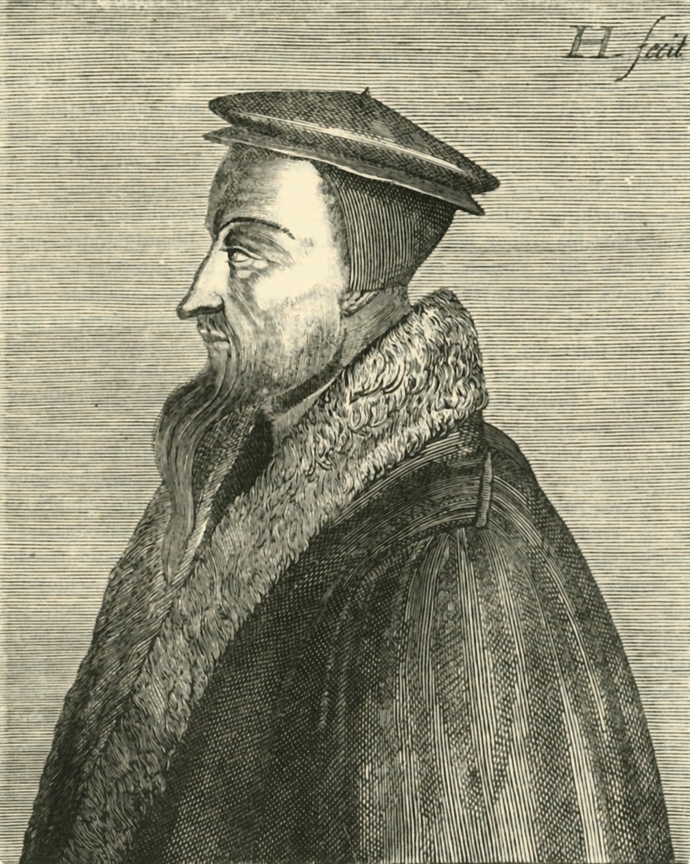 John Calvin by Unbekannt