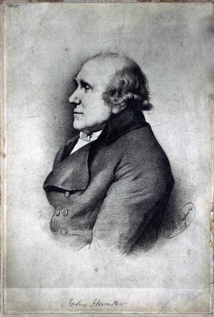 John Hunter, British surgeon and anatomist, c 1770s by Unbekannt