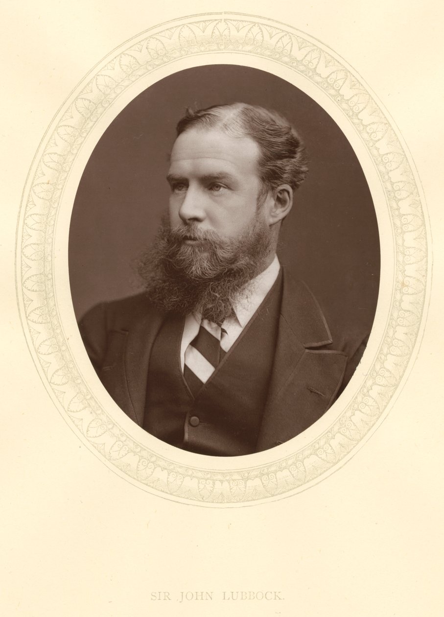 John Lubbock, First Baron Avebury, English Banker, Archaeologist, Naturalist and Politician by Unbekannt