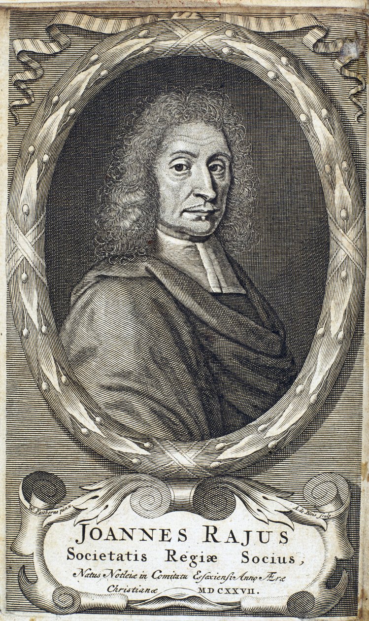 John Ray (Wray), English Naturalist, c. 1700 by Unbekannt