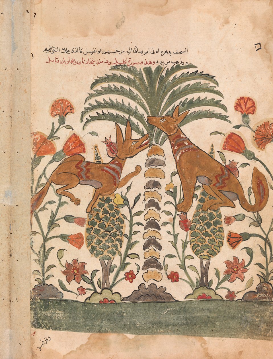 Kalila Upbraiding Dimna, Folio from a Kalila wa Dimna, 18th Century by Unbekannt