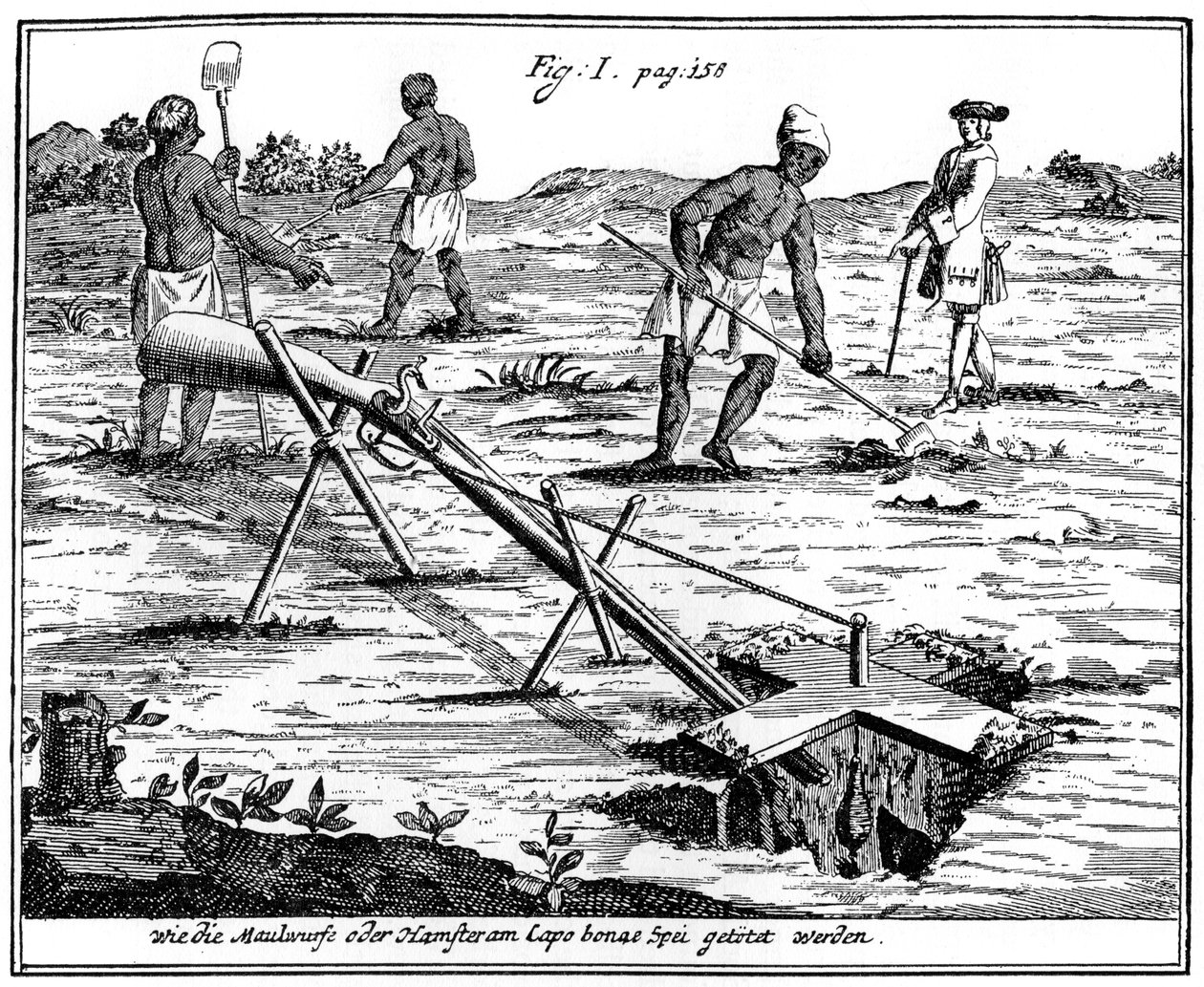 Khoikhois catching moles, South Africa, 18th century 1931 by Unbekannt