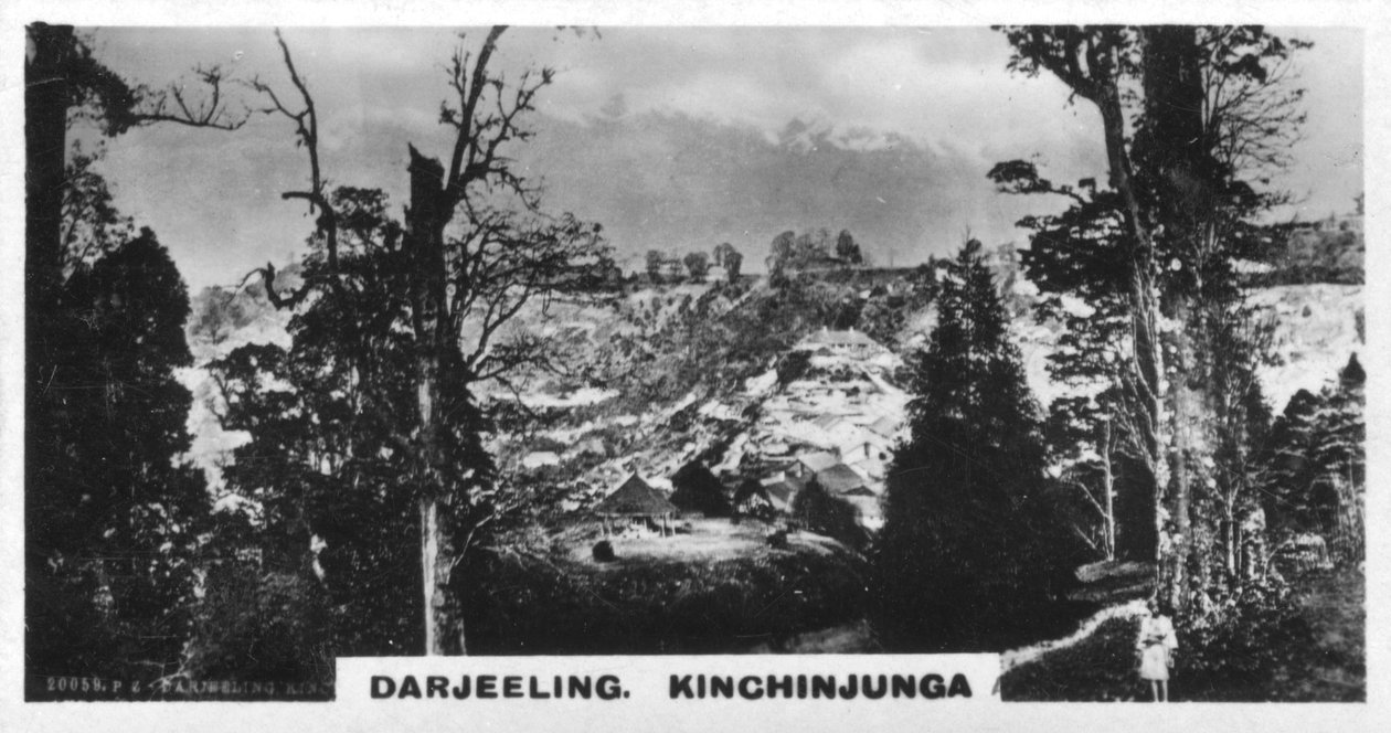 Kinchinjunga from Beechwood, Darjeeling, India by Unbekannt