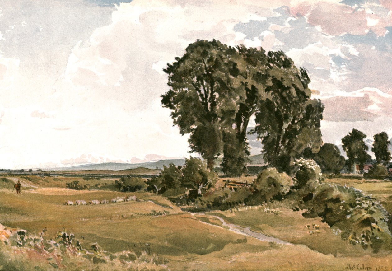 Landscape, near Wareham, Dorset - an Outdoor Sketch by Unbekannt