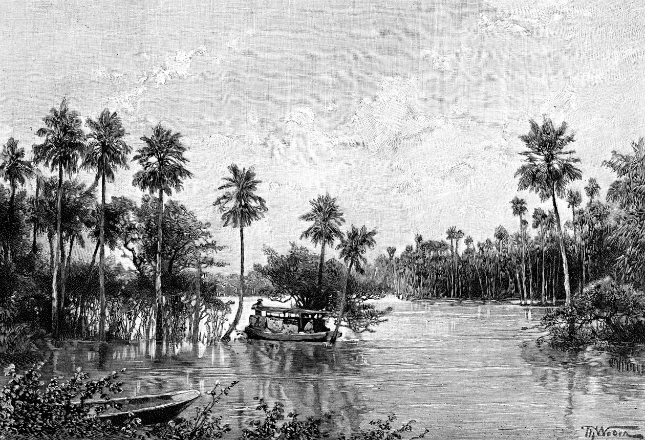 Las Palmes Lagunas, near the mouth of the Pilcomayo, 1895 by Unbekannt