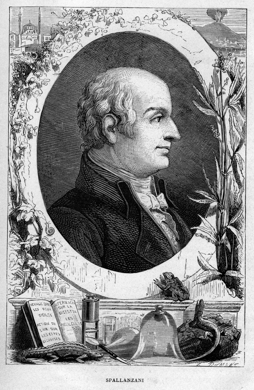 Lazzaro Spallanzani, Italian Biologist, 1874 by Unbekannt