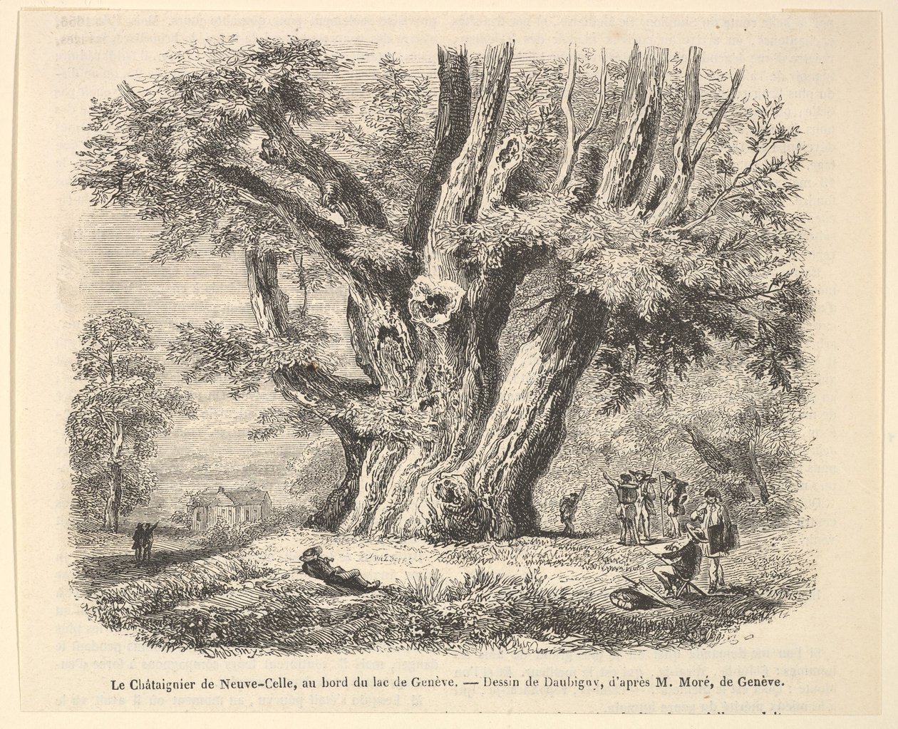 Le Châtaignier de Neuve-Celle, au bord du lac de Genève, after Daubigny by Unbekannt