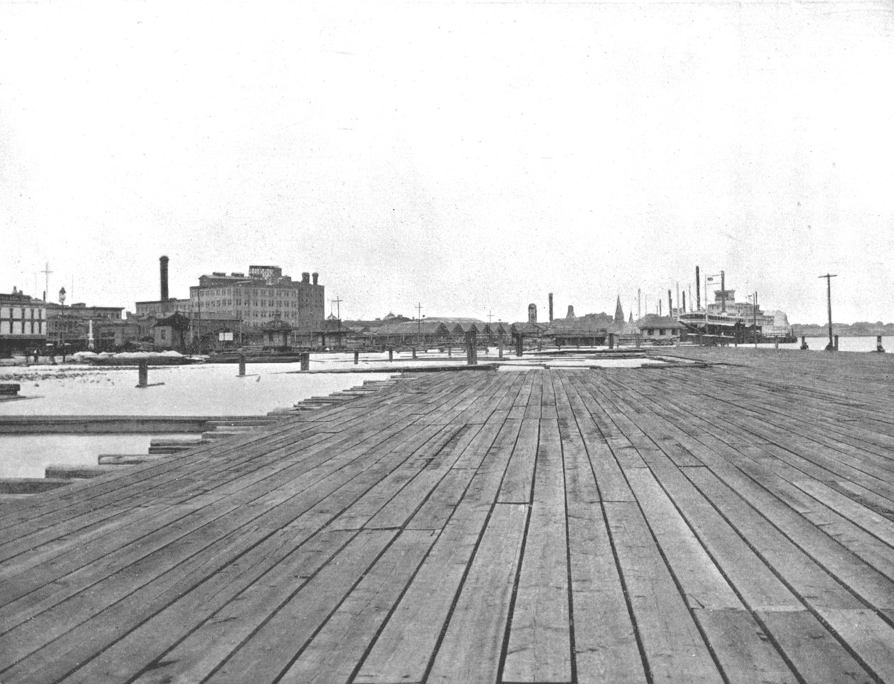 Levee and Steamboat Landing, New Orleans, Louisiana, USA, c1900 by Unbekannt