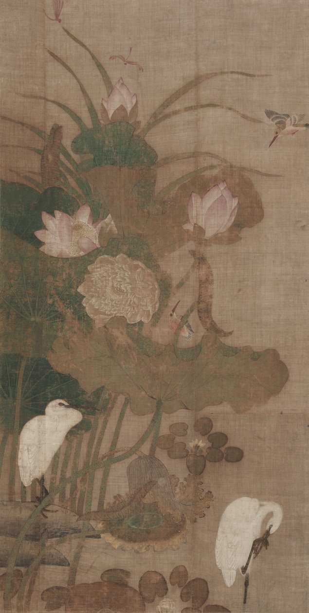 Lotuses, Insects, and Birds by Unbekannt