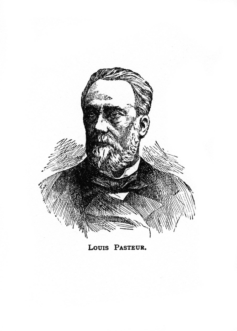 Louis Pasteur, 19th century French microbiologist and chemist by Unbekannt