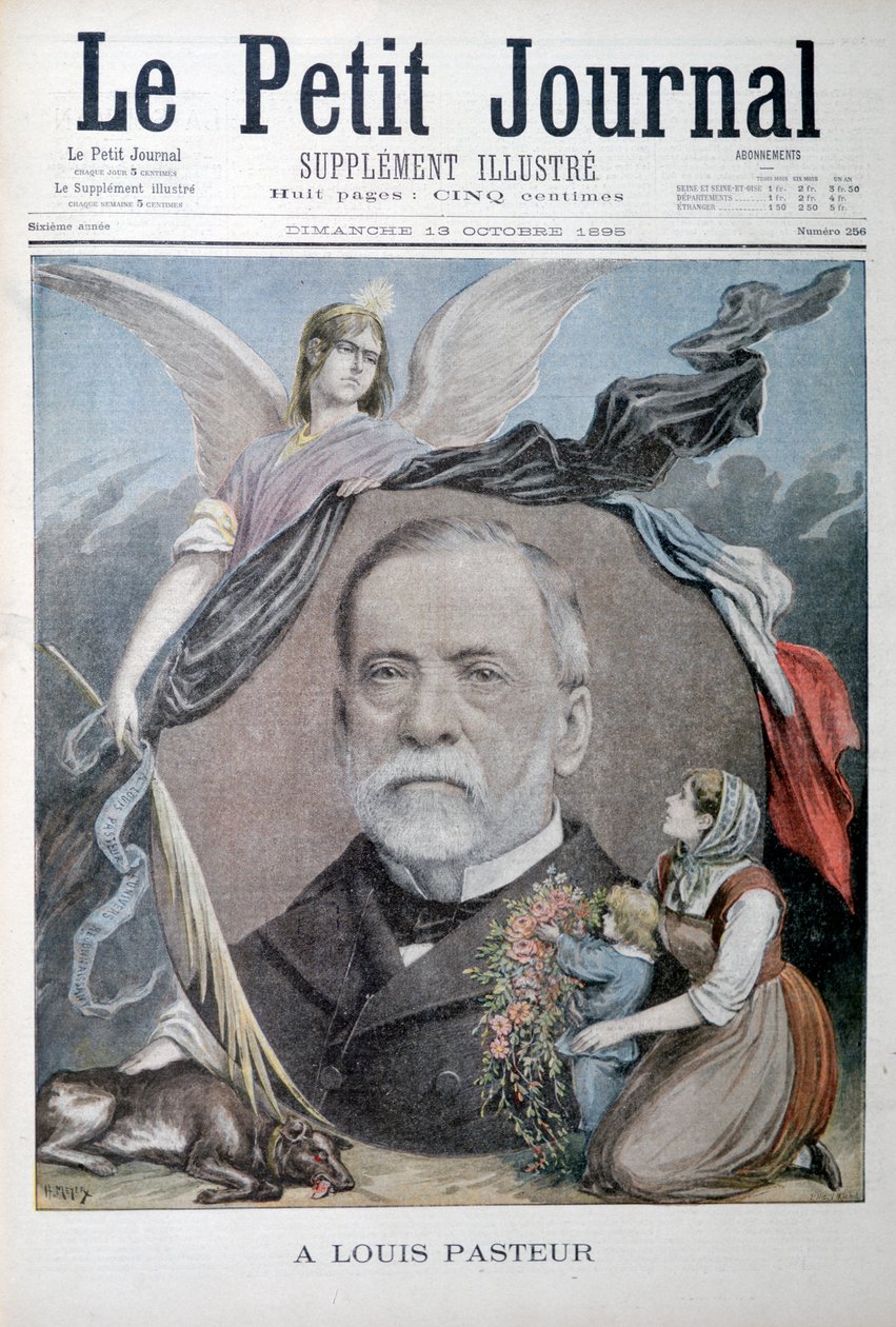 Louis Pasteur, French Chemist by Unbekannt