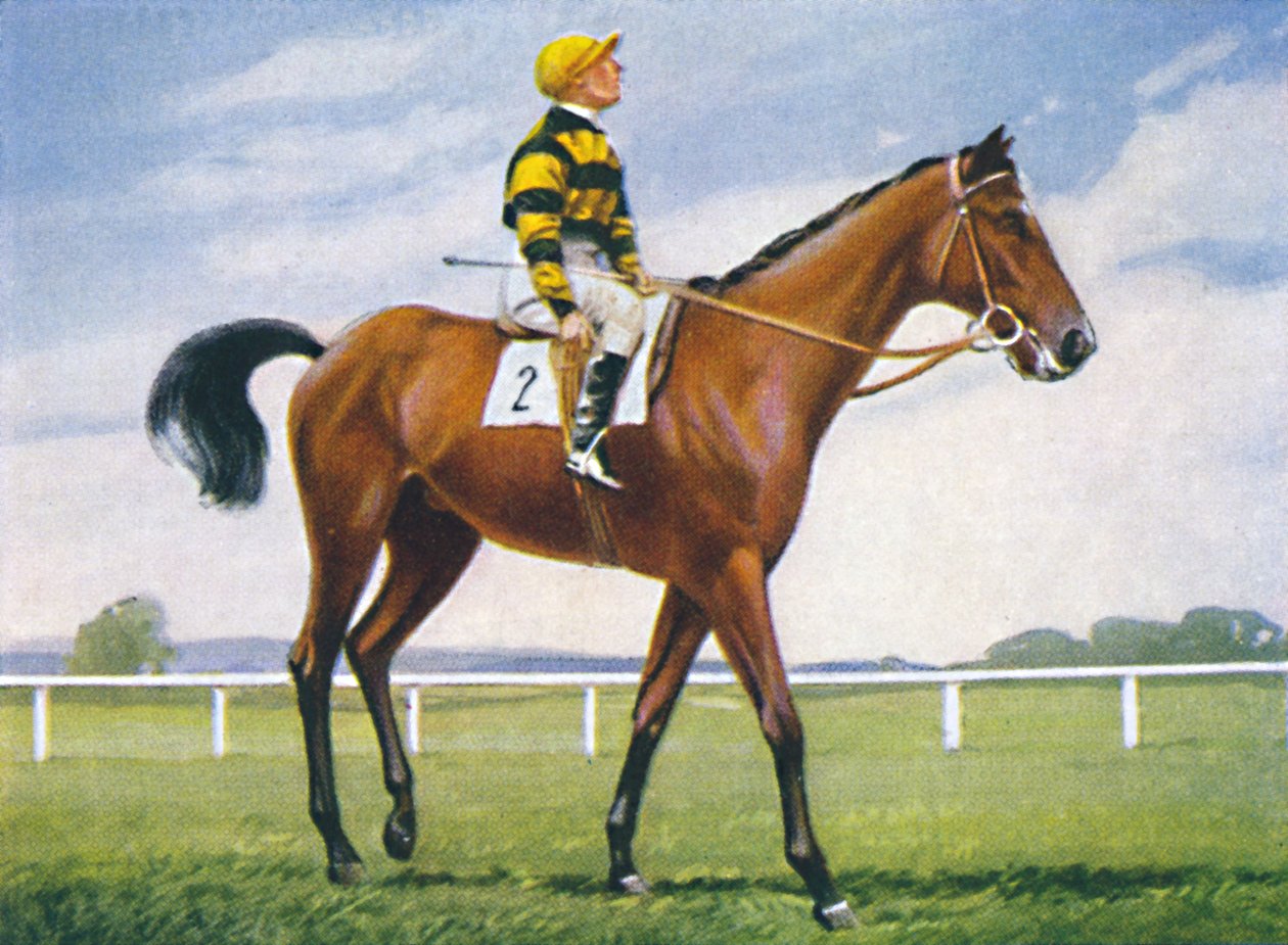 Meadow, Jockey: T. Weston, 1939 by Unbekannt