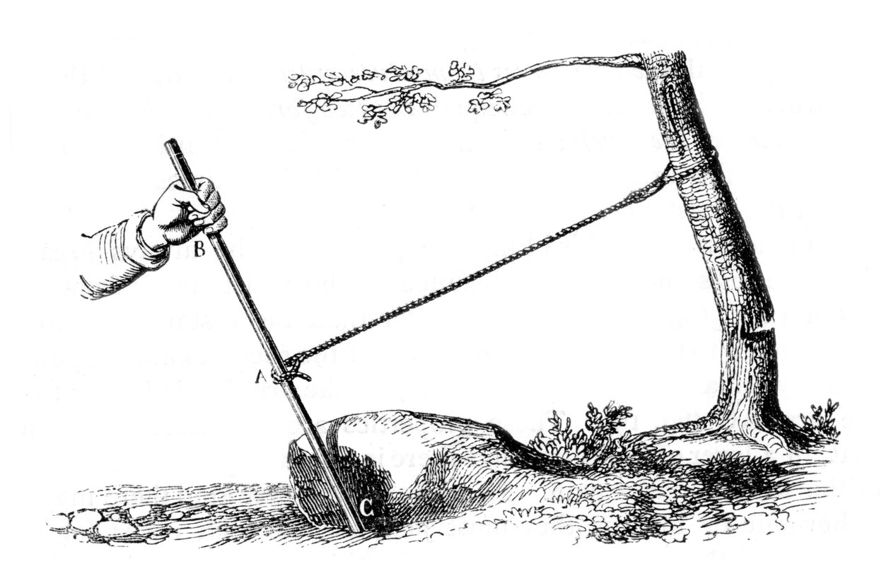 Mechanical Advantage: The Power of the Lever, 1877 by Unbekannt