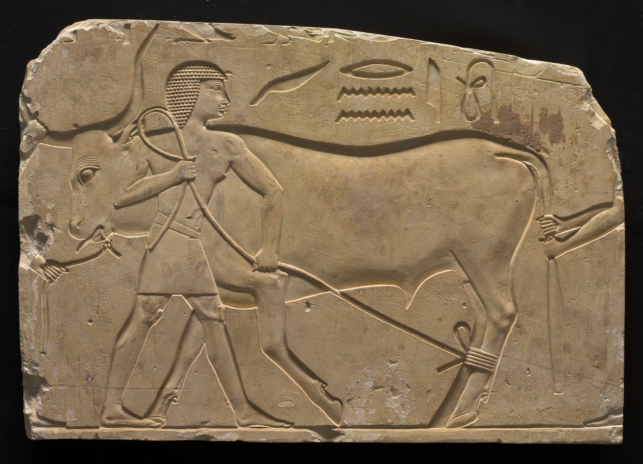 Men Trussing an Ox, 667-647 BC by Unbekannt