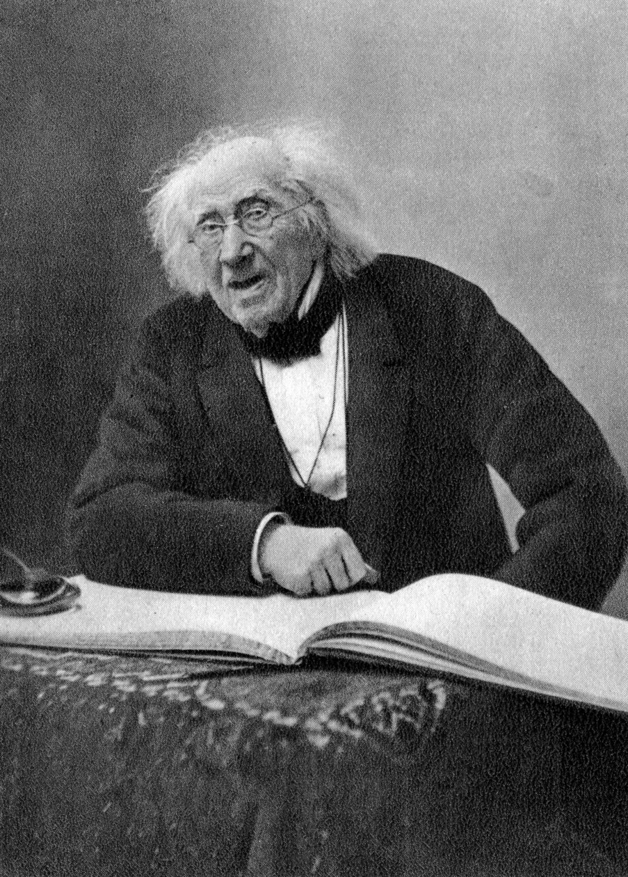 Michel Eugene Chevreul, French chemist by Unbekannt