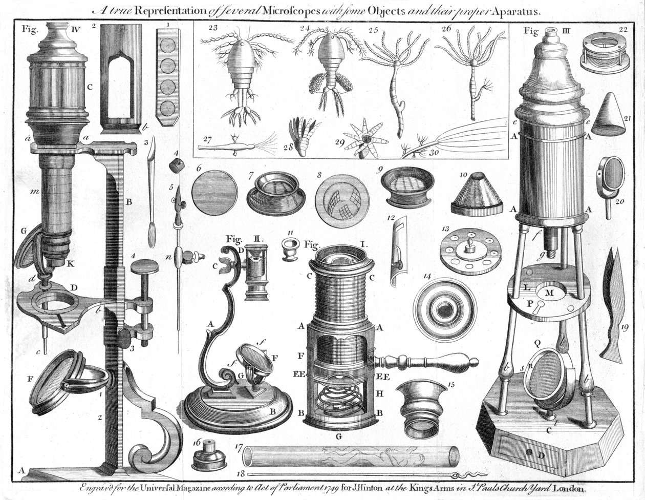 Microscopes and Microscopical Objects, 1750 by Unbekannt