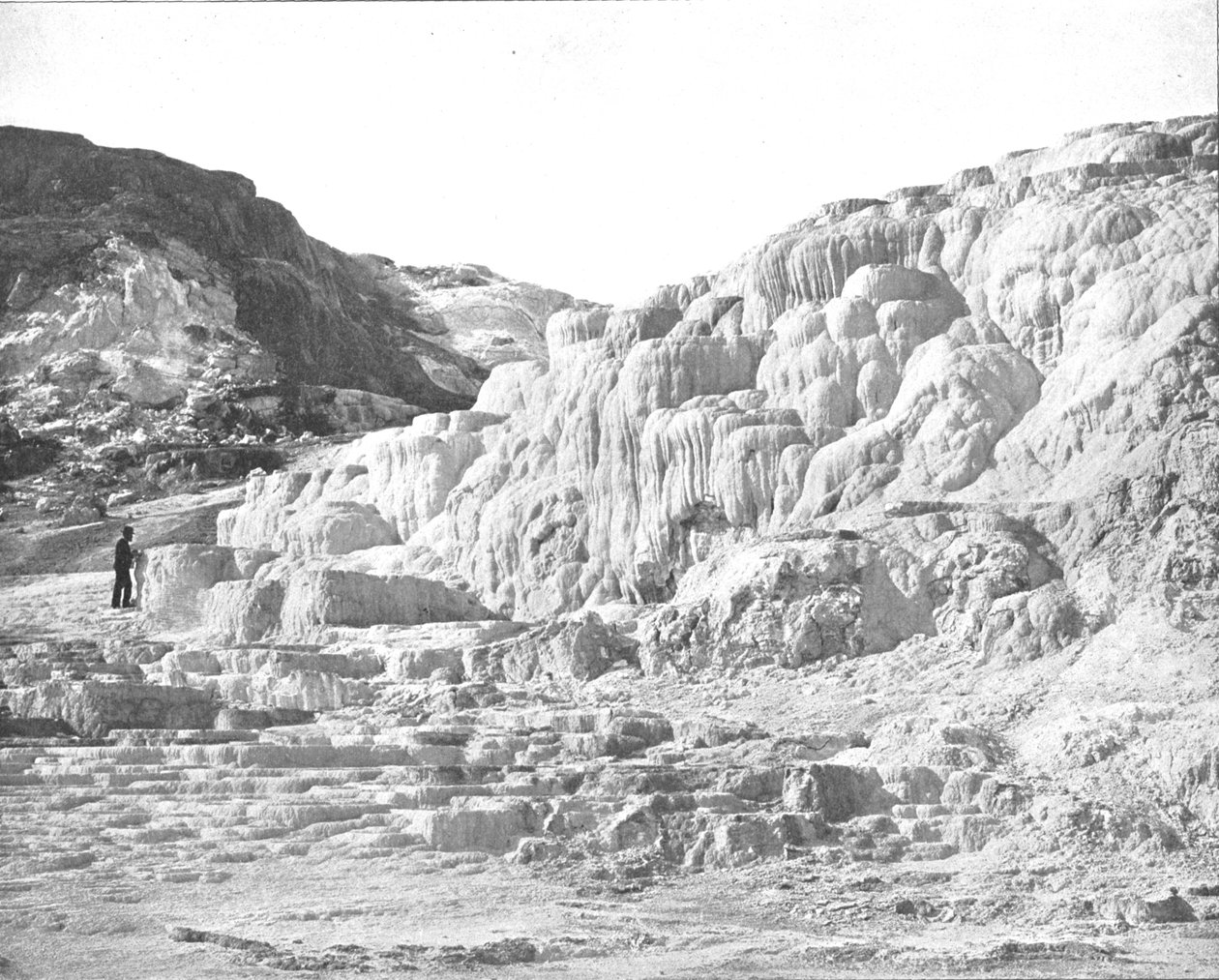 Minerva Terrace, Yellowstone Park, USA by Unbekannt