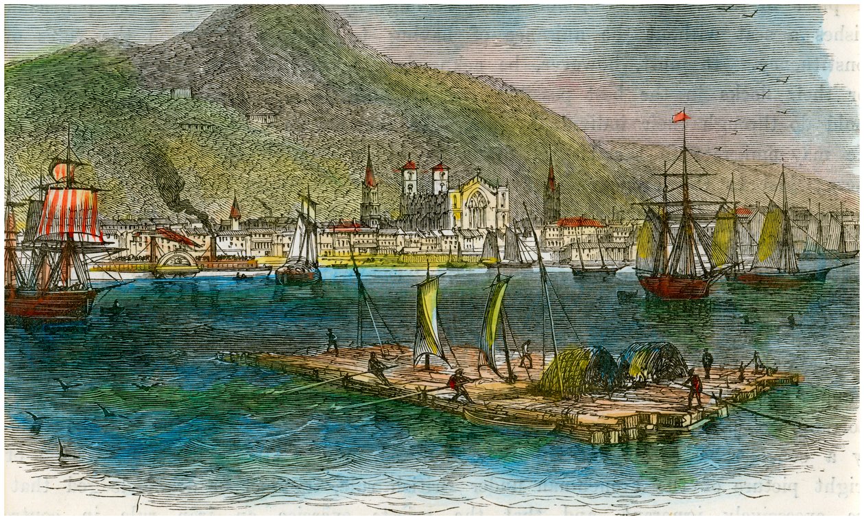 Montreal from the St Lawrence River, Quebec, Canada, c1880 by Unbekannt