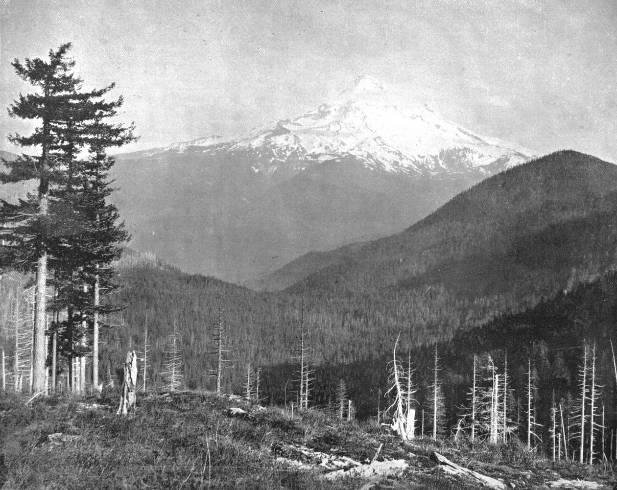 Mount Hood, Oregon, USA by Unbekannt