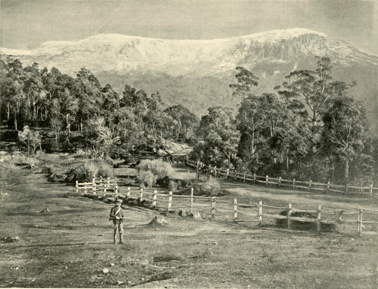 Mount Wellington, from the Huon Road by Unbekannt