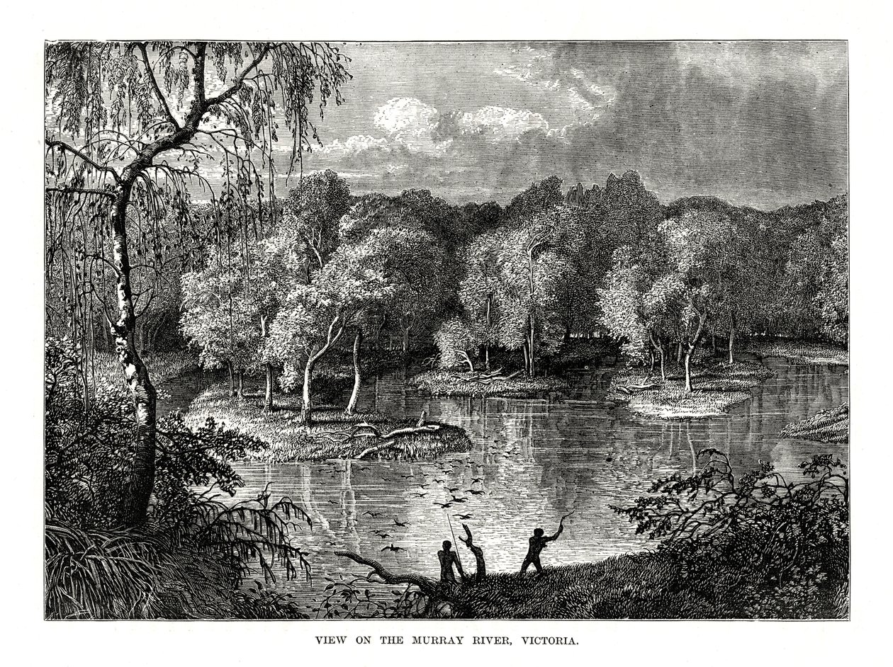 Murray River, Victoria, Australia by Unbekannt